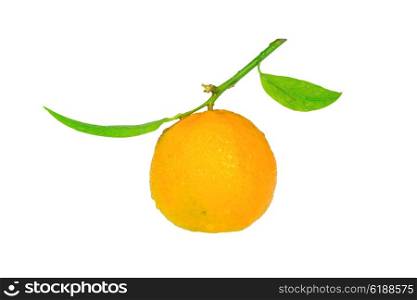 Clementine with a green leaf isolated on white