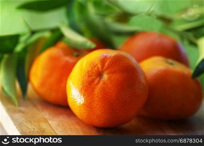 Clementines,orange or citrus with leaves on green background