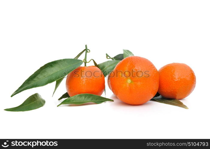 clementines with leaf isolated on white background