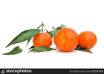 clementines with leaf isolated on white background