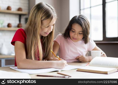 clever multiethnic girls doing homework together