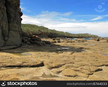 cliff and tidal platform. cliff and tidal platform in foreground, forest and sky in background, coast, australia