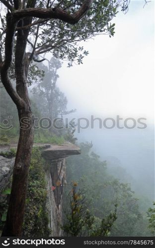 Cliff's edge in foggy morning