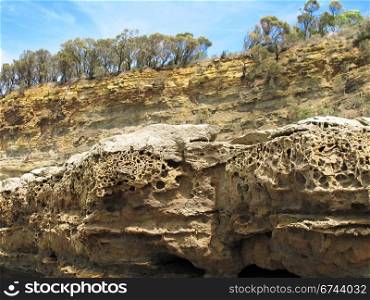 cliffs and weathered sandstone. cliff with weathered sandstone in foreground and trees in background