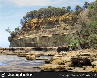 cliffs, sea, ocean, and weathered sandstone. cliff with trees and shore platform in australia, devonian stones, wild shore