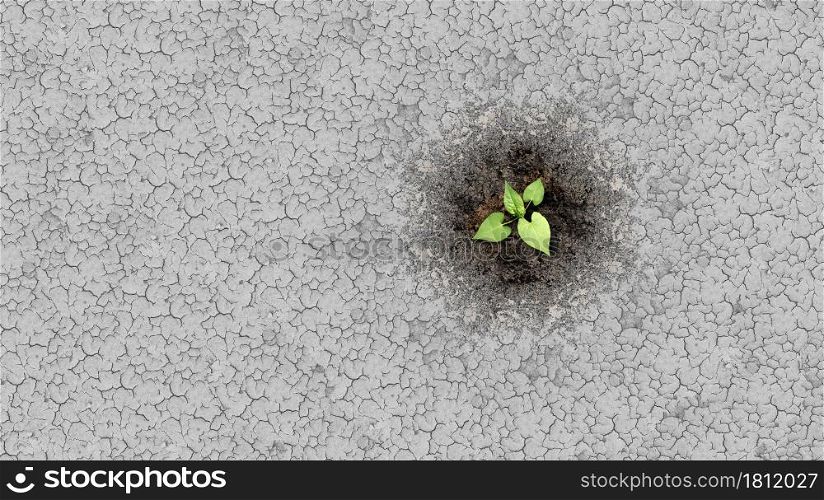 Climate change crisis cycle as a dried or dry cracked land suffering from drought turning into rich moist organic earth with a growing young plant as a composite.