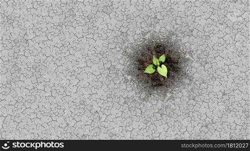 Climate change crisis cycle as a dried or dry cracked land suffering from drought turning into rich moist organic earth with a growing young plant as a composite.