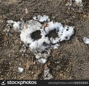 Climate change melting skull made of snow and extreme weather warming symbol.