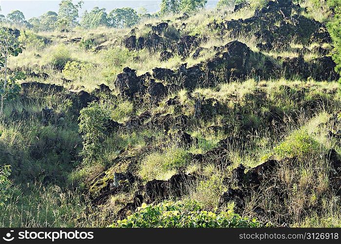 Clinker on earth near Batur volcano
