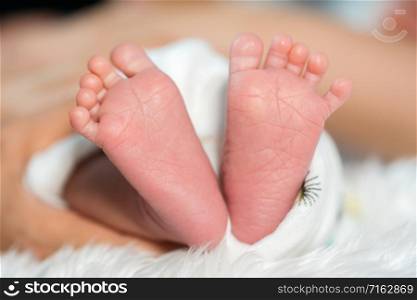cloe up feet of little newborn baby
