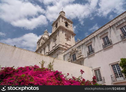 Cloisters and flowering trees in courtyard of Sao Vicente de Fora church in Alfama district. Cloisters of Sao Vicente de Fora church in Alfama district of Lisbon