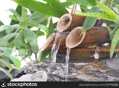 close on a little bamboo fountain in foliage