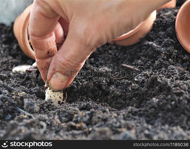 close on woman hand sowing seeds in vegetable garden soil