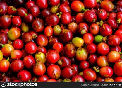 close up abstract background fresh raw coffee bean