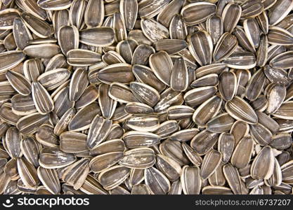 close up background of dried sunflower seeds