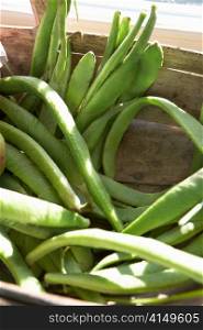 Close up basket of runner beans