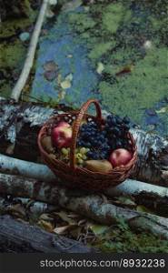 Close up basket with fruits near blooming river concept photo. Green algae. Top view photography with blurred background. High quality picture for wallpaper, travel blog, magazine, article. Close up basket with fruits near blooming river concept photo