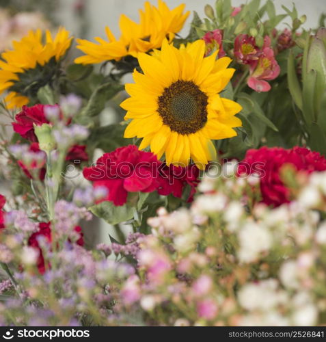 close up beautiful flower bouquet