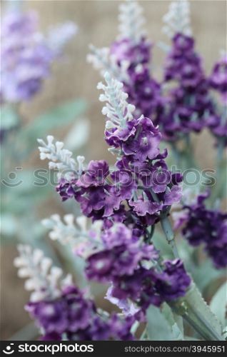 close-up beautiful purple lavender of artificial flowers