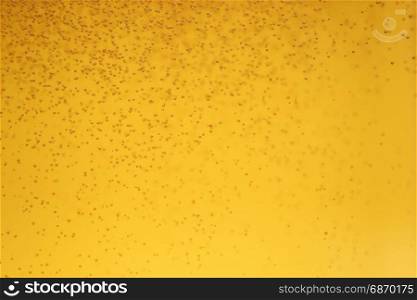 close up beer with bubbles background