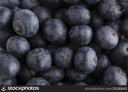 close up blueberries