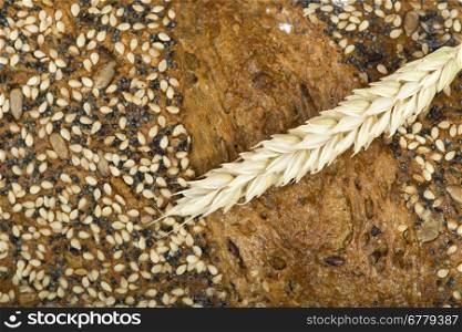 Close up Bread and wheat cereal crops. Studuo shot