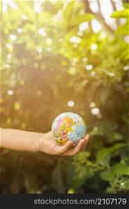 close up child s hand holding globe ball front green plant sunlight