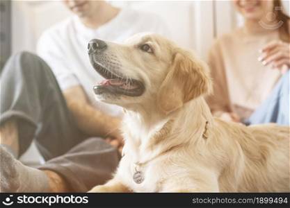 close up couple with dog indoors. Resolution and high quality beautiful photo. close up couple with dog indoors. High quality beautiful photo concept