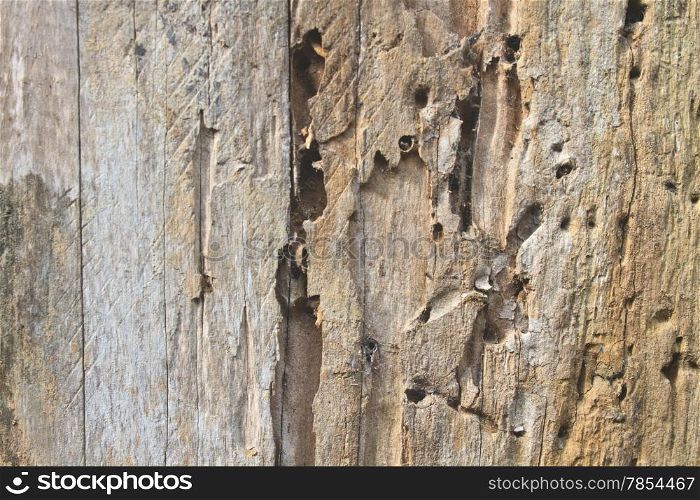 close up dark brown wood background and texture