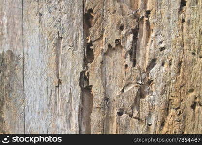 close up dark brown wood background and texture