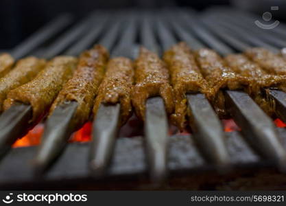 Close-up delicious seekh kabab