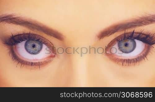 Close up detail of the wide blue eyes of a beautiful woman looking directly into the camera in a beauty portrait