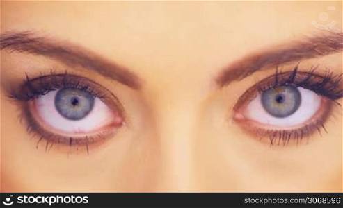 Close up detail of the wide blue eyes of a beautiful woman looking directly into the camera in a beauty portrait