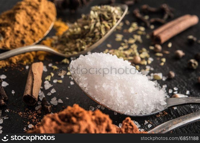 Close up detail of various spices spoons on stone slate table.