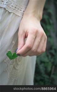 Close up elegant female hand holding tiny plant leaf concept photo. Front view photography with blurred nature on background. High quality picture for wallpaper, travel blog, magazine, article. Close up elegant female hand holding tiny plant leaf concept photo