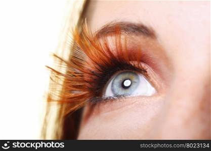Close up female eye stylish creative make up false long brown eye lashes autumnal colour.