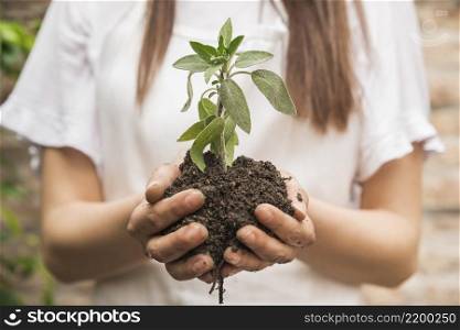 close up female gardener s hand holding seedling