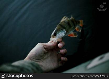 close up fisherman s hand with fresh fish