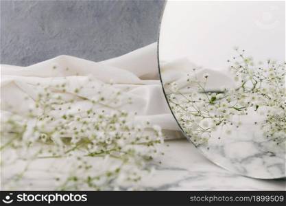 close up flowers mirror. Resolution and high quality beautiful photo. close up flowers mirror. High quality beautiful photo concept