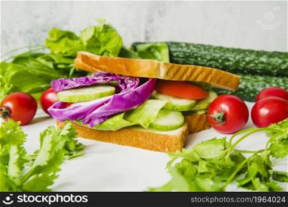 close up fresh vegetables sandwich. High resolution photo. close up fresh vegetables sandwich. High quality photo