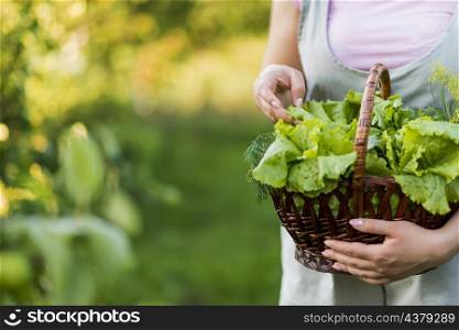 close up girl holding basket with lettuce leaves