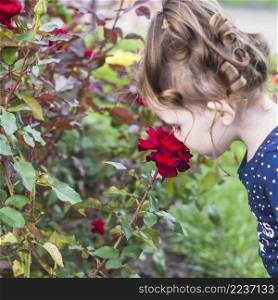 close up girl smelling beautiful red rose