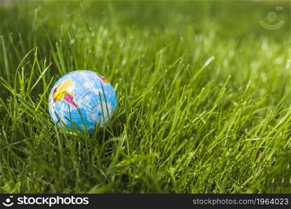 close up globe ball green grass. High resolution photo. close up globe ball green grass. High quality photo
