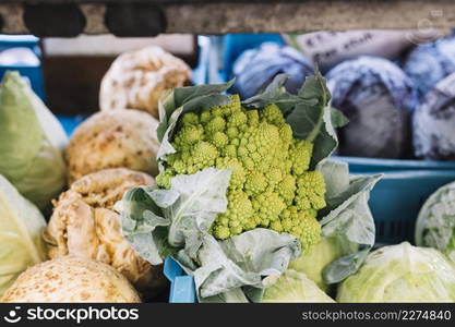 close up green romanesco cauliflower cabbage