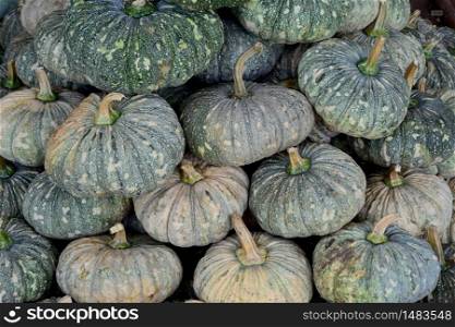 Close up group of pumpkin stacking. Pumpkin background