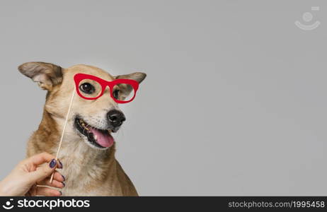 close up hand holding glasses