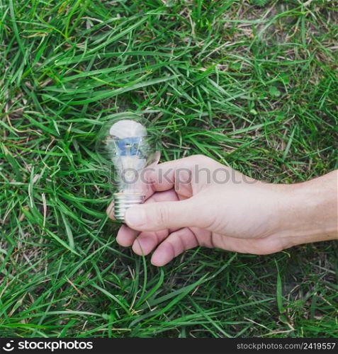 close up hand holding light bulb green grass