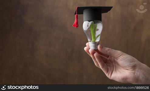 close up hand holding light bulb with plant. Resolution and high quality beautiful photo. close up hand holding light bulb with plant. High quality beautiful photo concept