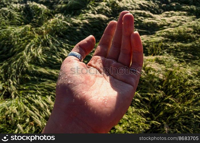 Close up hand with dew drops concept photo. First rain droplets on palm. Front view photography with meadow on background. High quality picture for wallpaper, travel blog, magazine, article. Close up hand with dew drops concept photo