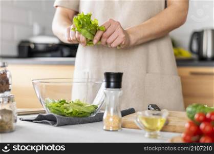 close up hands holding lettuce